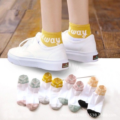 Tất cotton thời trang xuân hè dành cho nữ