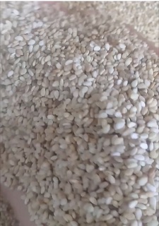 500Gam Vừng (Mè) trắng Oganic
