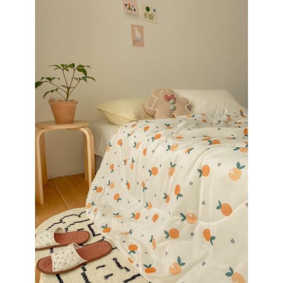 Chăn Thun Lạnh Hàn Quốc✨Freeship✨Chất vải thun lạnh thoáng mát,trần bông gòn dày dặn hàng nhập khẩu loại 1