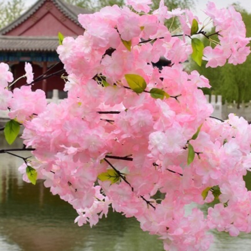 Cành hoa anh đào Nhật Bản 1m làm cây đào nhân tạo, hoa giả trang trí nhà cửa, sân vườn, nhà hàng, khách sạn