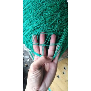 Lưới gà, trồng cây sợi cước màu xanh khổ 2m