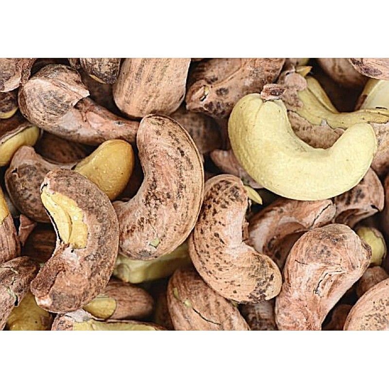 Hạt điều rang muối Bình Phước size A cồ