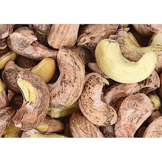 Hạt điều rang muối Bình Phước size A cồ