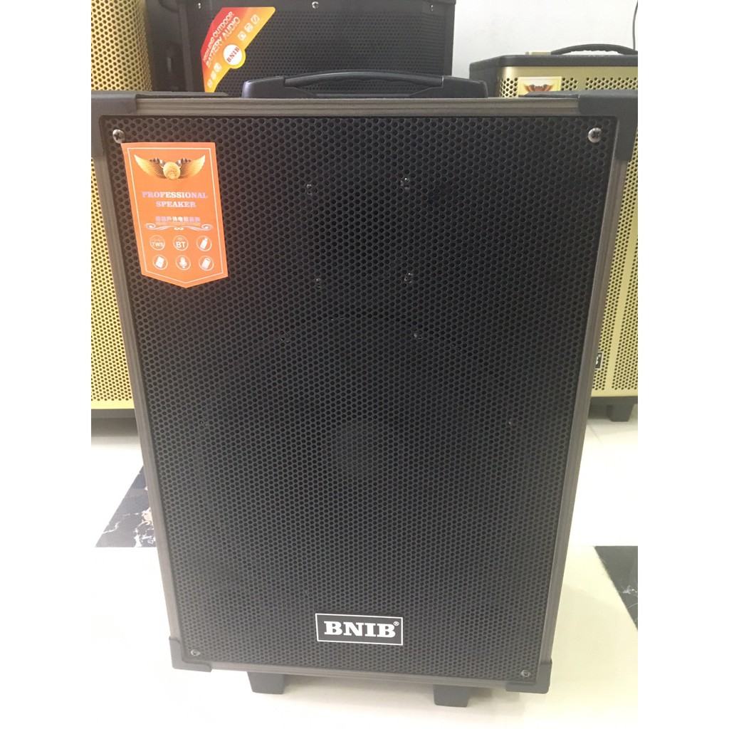 Loa kéo BNIB - BT SPEAKER