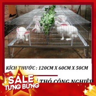 💥 Lồng nuôi thỏ sinh sản, lồng công nghiệp