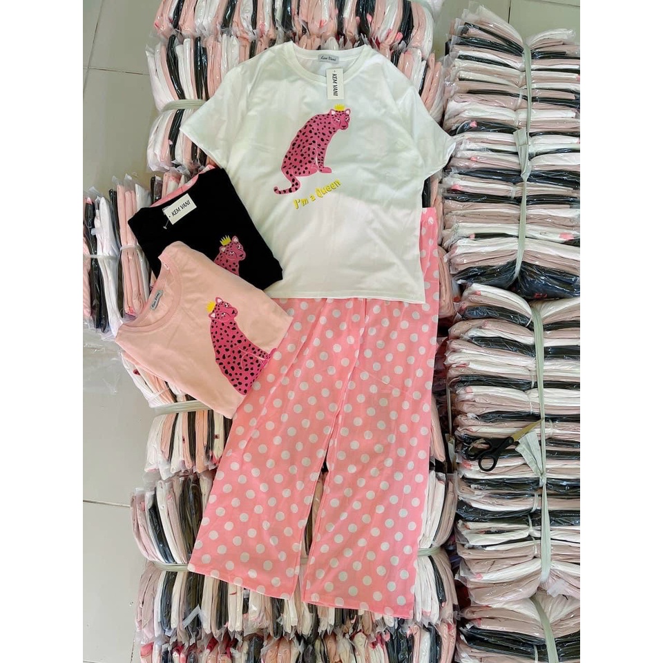 set bộ áo thun form rộng kèm quần dài suông chấm bi báo hồng na