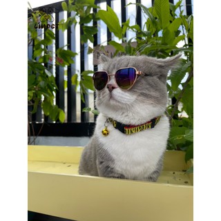 Mắt kính thời trang cho thú cưng LINPET
