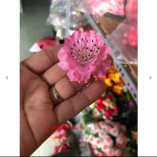 Combo mai ,đào ,kẽm ,lá