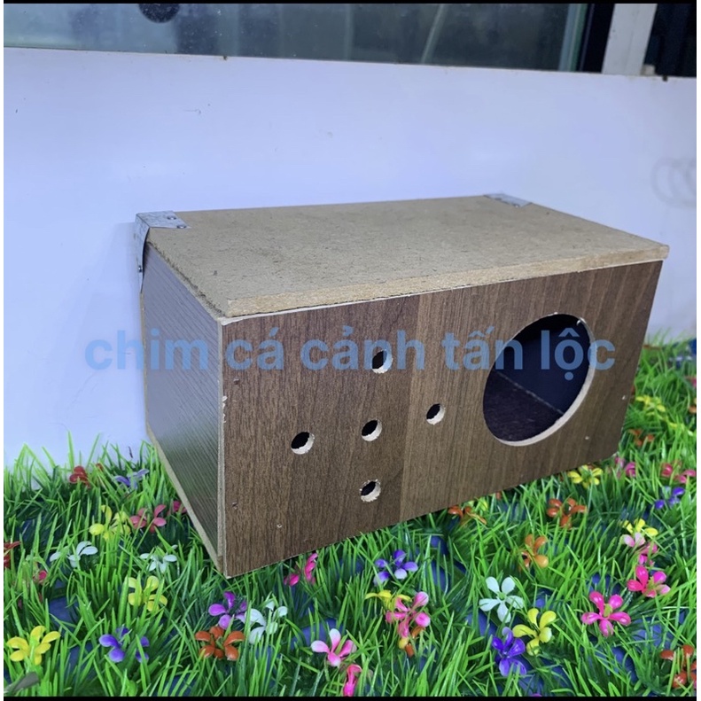 Tổ Đẻ Chim Yến Phụng Mái Nhà 19X15X12CM