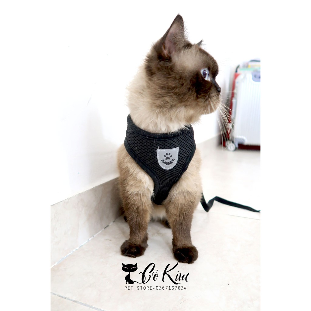 Dây dắt thú cưng giả yếm