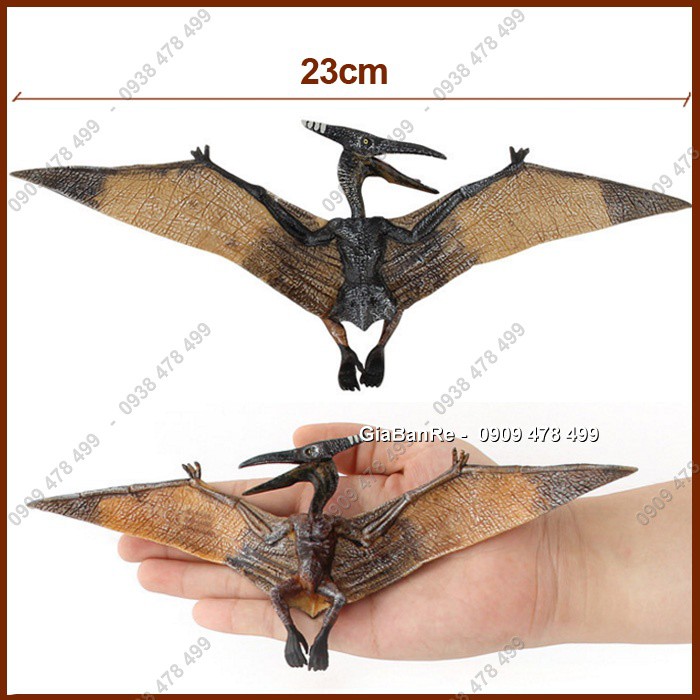 Mô Hình Thằn Lằn Bay Pteranodon Sải Cánh 22cm - Khủng Long Tiền Sử - 7748.2