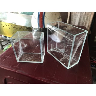 Hồ Show Guppy Betta