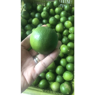 chanh tươi không hạt 1kg