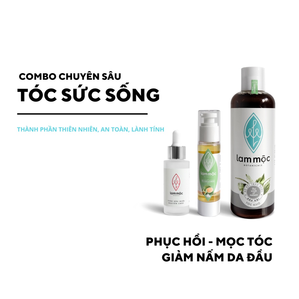 Combo Chuyên Sâu SỨC SỐNG - Sạch gàu/ nấm ngứa, phục hồi hư tổn, ngăn rụng và kích mọc tóc LAM MỘC