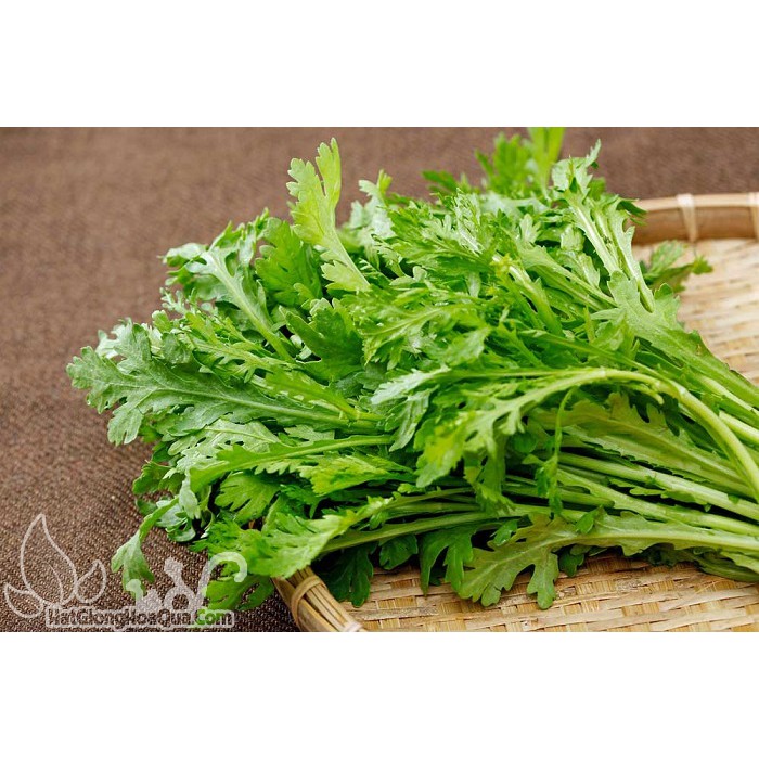 Hạt Giống Rau Tần Ô / Cải Cúc  - - Ngọt, Bổ Dưỡng,Dinh Dưỡng