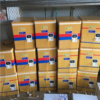 Máy ấp trứng gà mini combo tự động