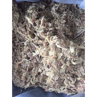 Dớn Chile-1kg