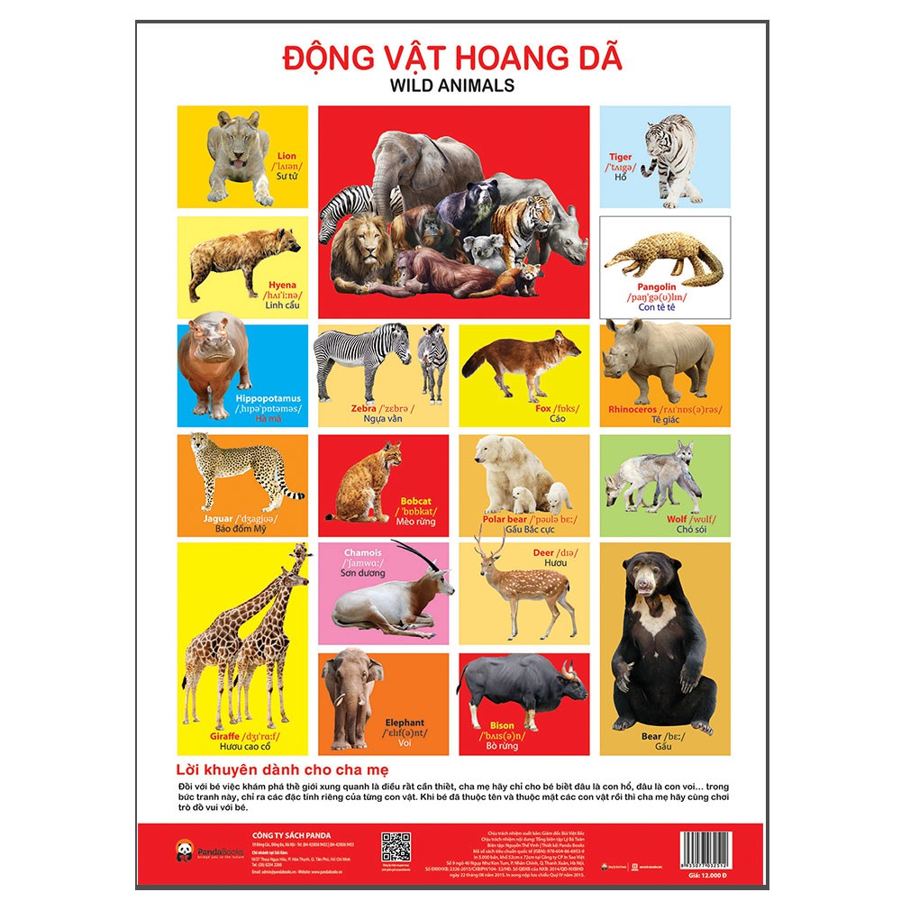Sách - Poster – Động Vật Hoang Dã - Pandabooks