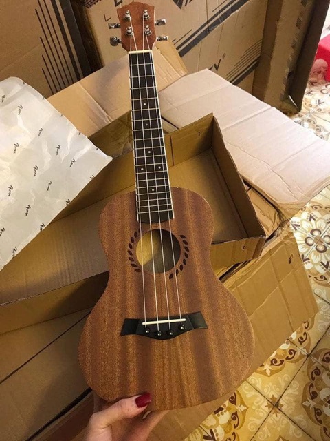 ĐÀN UKULELE CONCERT VIỀN LÚA