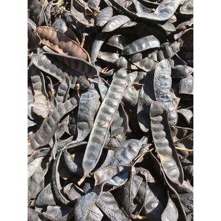 1kg bồ kết khô