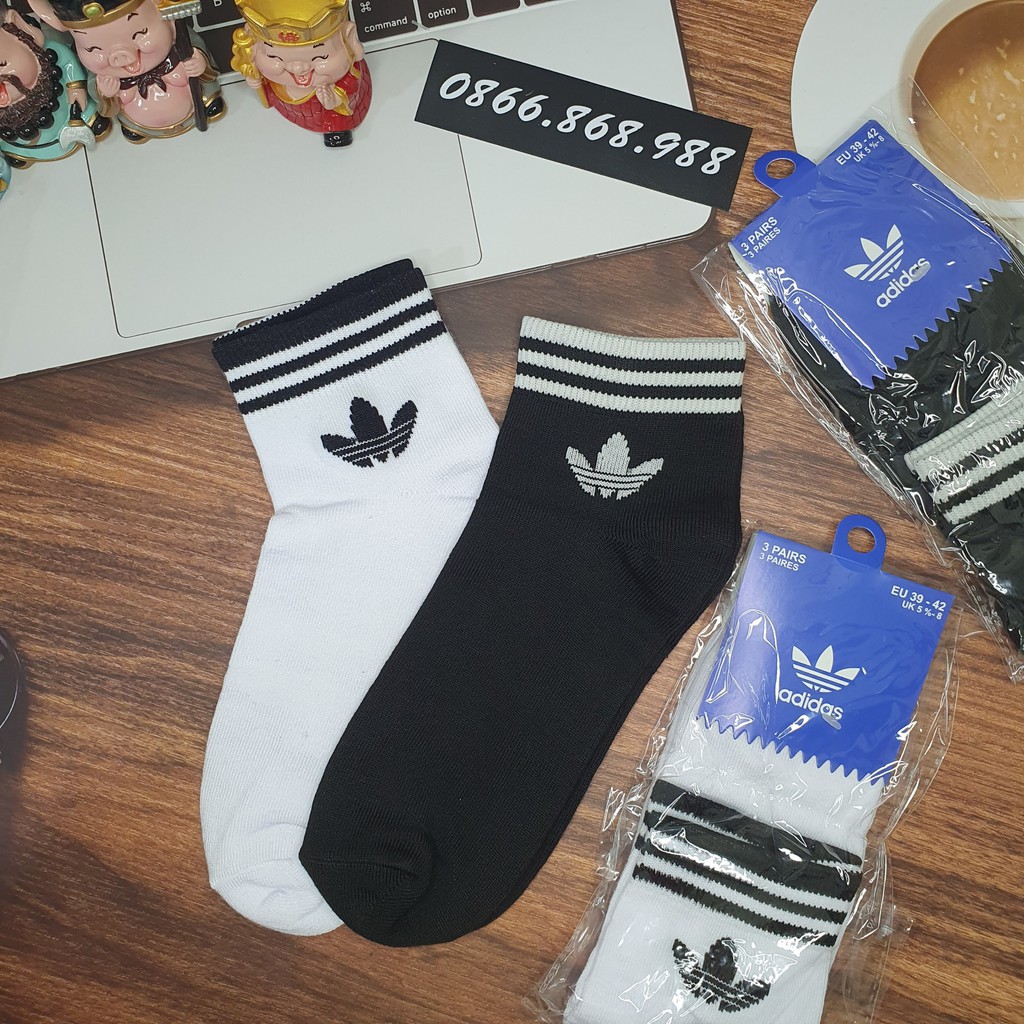 Tất vớ Unisex nam nữ Das cổ trung cotton MỀM MỊN-KO BAI XÙ êm chân co giãn TN04