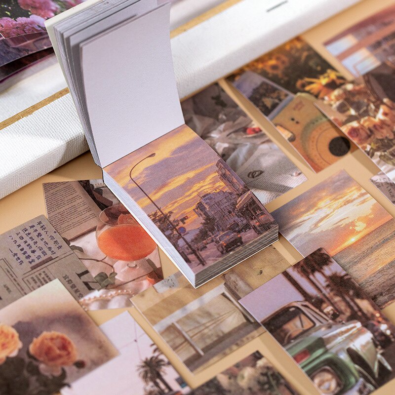 Set 50 nhãn dán họa tiết thực vật phong cách vintage trang trí Scrapbook / nhật ký / ghi chú du lịch thủ công DIY