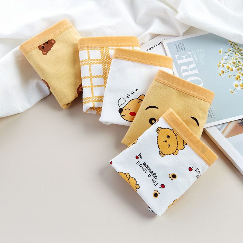 [T10 Happy bear] Set 5 quần lót trẻ em bé gái, chip cho bé gái hình Maruka Fashion hình gấu vàng siêu đáng yêu