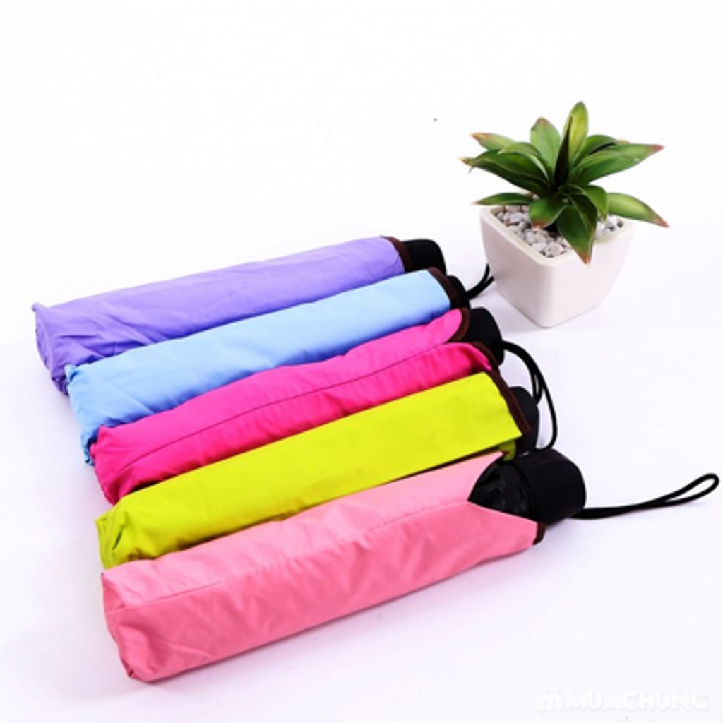 [FREESHIP] Dù đi mưa gặp nước tự động nở hoa nhiều màu