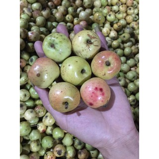 3KG TÁO MÈO TƯƠI SƠN LA