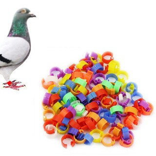 Combo 100 Vòng đeo chân đánh dấu cho gà cho chim