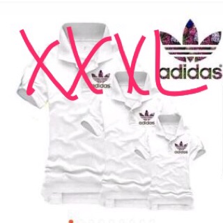 combo áo thun