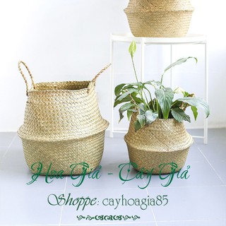Giỏ mây _ Trồng cây cắm hoa trang trí