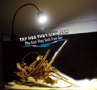 LED RỌI 5W cho hồ biotop