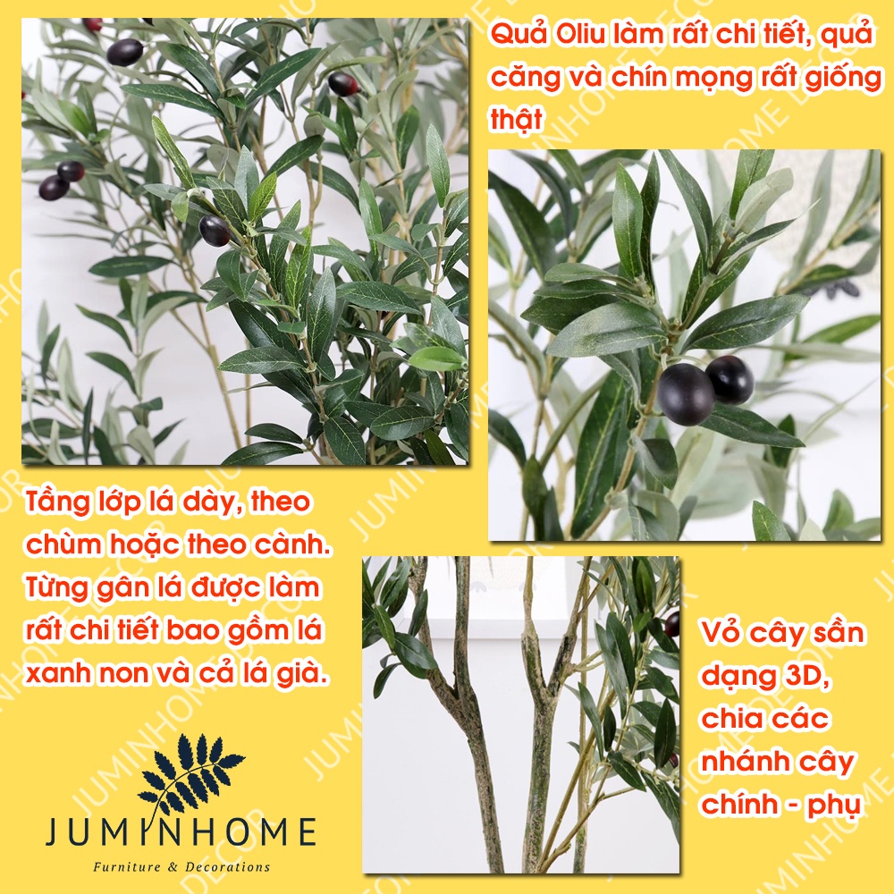 Cây oliu giả, cây olive giả - Cây giả decor trang trí nhà cửa nội thất phòng khách phòng ngủ