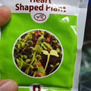 HẠT GIỐNG THỦY SINH SỐ 6 CỎ TRÁI TIM 10G