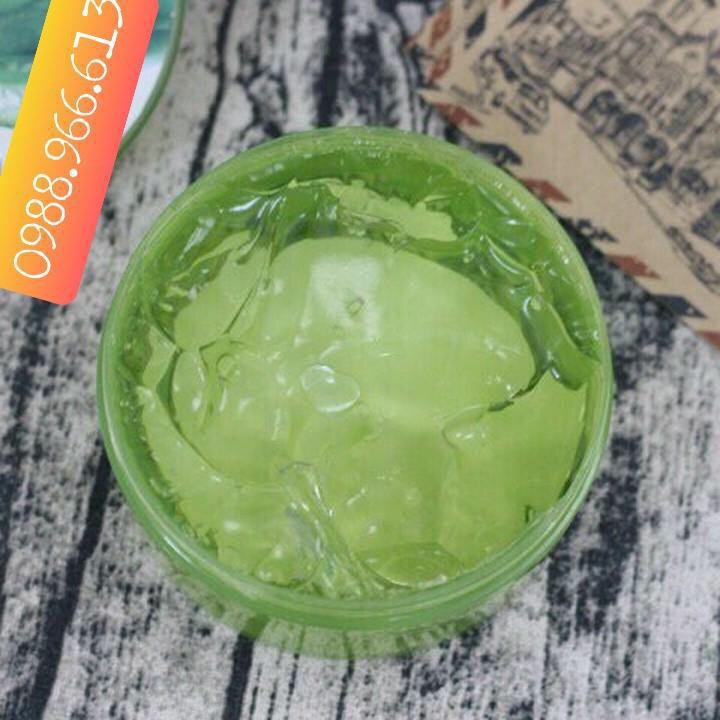 Gel Nha Đam Ốc Sên ECOSY - Gel Lô Hội Ốc Sên | BigBuy360 - bigbuy360.vn