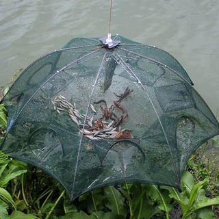 Lưới Bát Quái Bắt Cá, Tôm, Cua, Lươn, Trạch