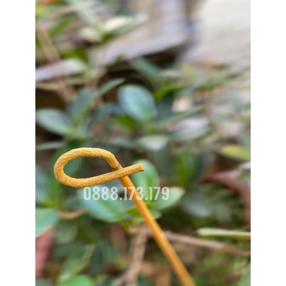 Nhang Thần Tài Thái Lan Chính Hãng Hương Sạch Ít Khói Cuộn Tàn Tài Lộc