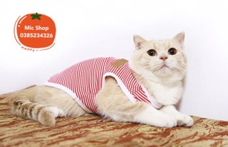 ❌ Áo cotton kẻ ngang Classic