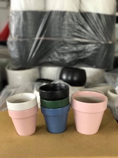 Chậu cây mini
