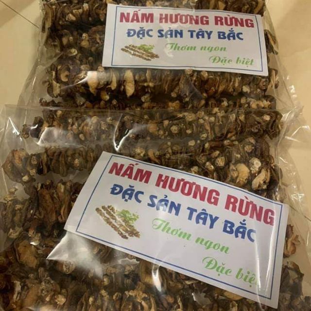 1KG NẤM HƯƠNG RỪNG TÂY BẮC LOẠI XIÊN