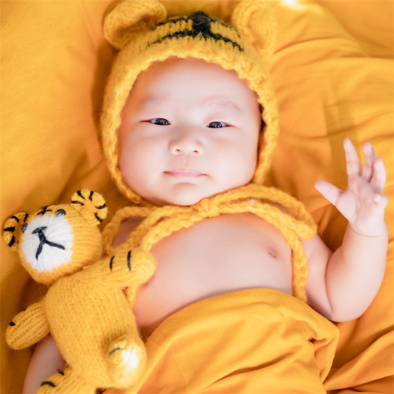 Set mũ và thú bông bò sữa, hổ bằng len đáng yêu phụ kiện chụp ảnh cho bé 0-3 tháng