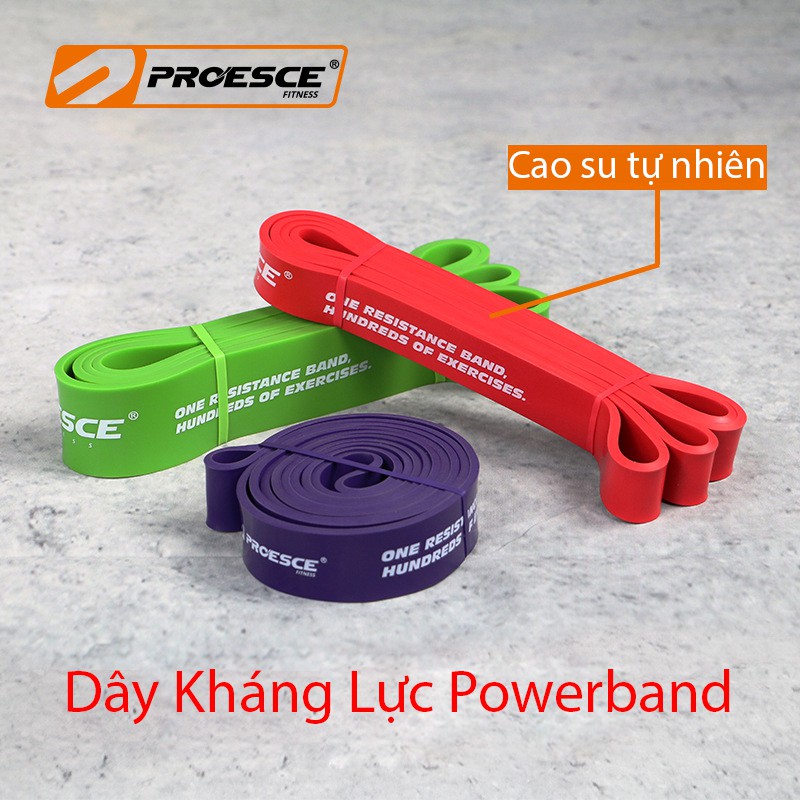 Dây Kháng Lực Powerband, Dây Cao Su Tập Toàn Thân Chính hãng Process