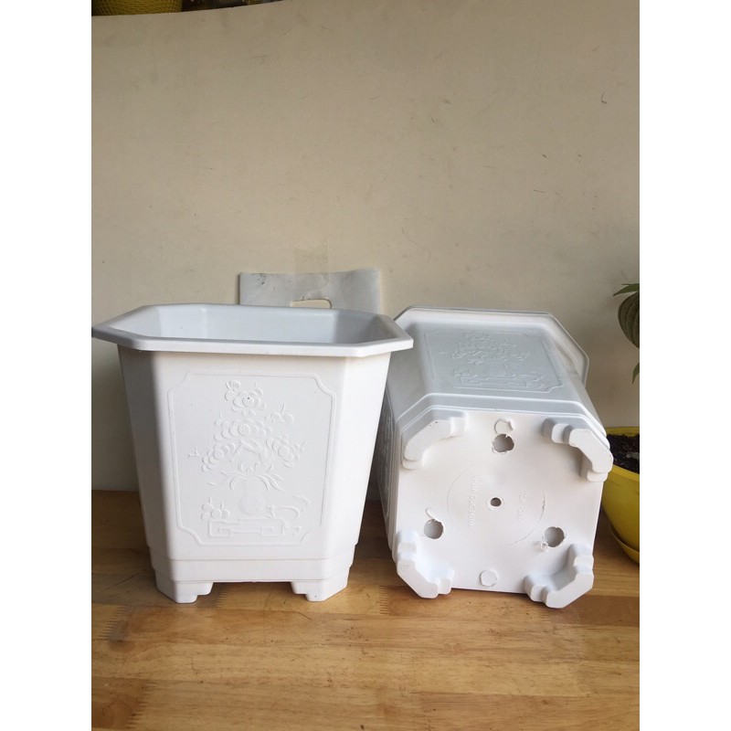 Combo Chậu Nhựa Vuông, Chậu Vuông Trắng Có Hoa Văn Nổi 4 Chân Cao Dễ Thoát Nước