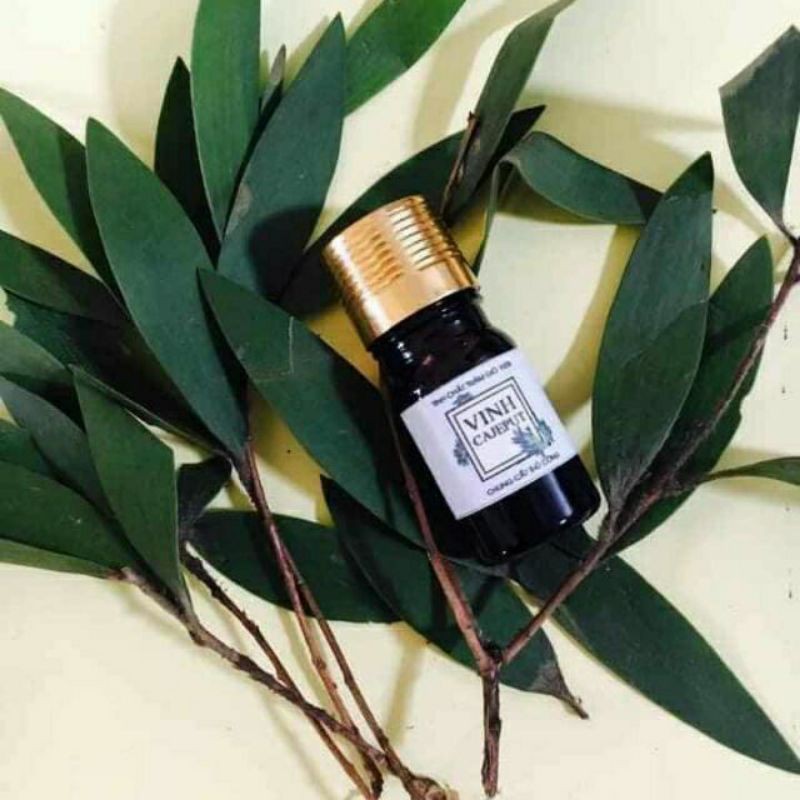 Tinh dầu tràm nguyên chất, chai 5ml