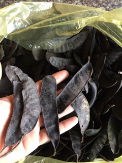 Bồ kết 1kg