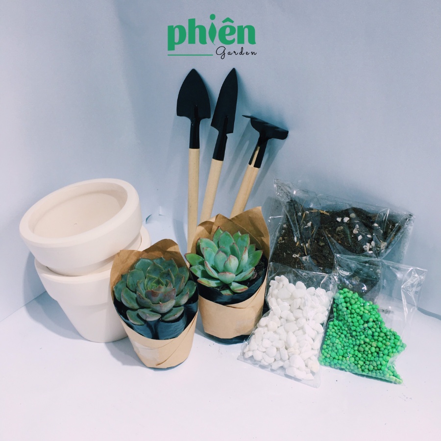 Hộp quà tặng sen đá Gardening Box, Gift Set tự tay trồng sen đá, quà tặng sinh nhật