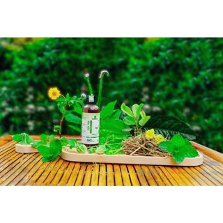 Sữa tắm lá khổ qua rừng mẹ Ken