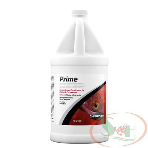 Xử lý nước Seachem Prime 2L khử độc clo nước mới cấp tốc