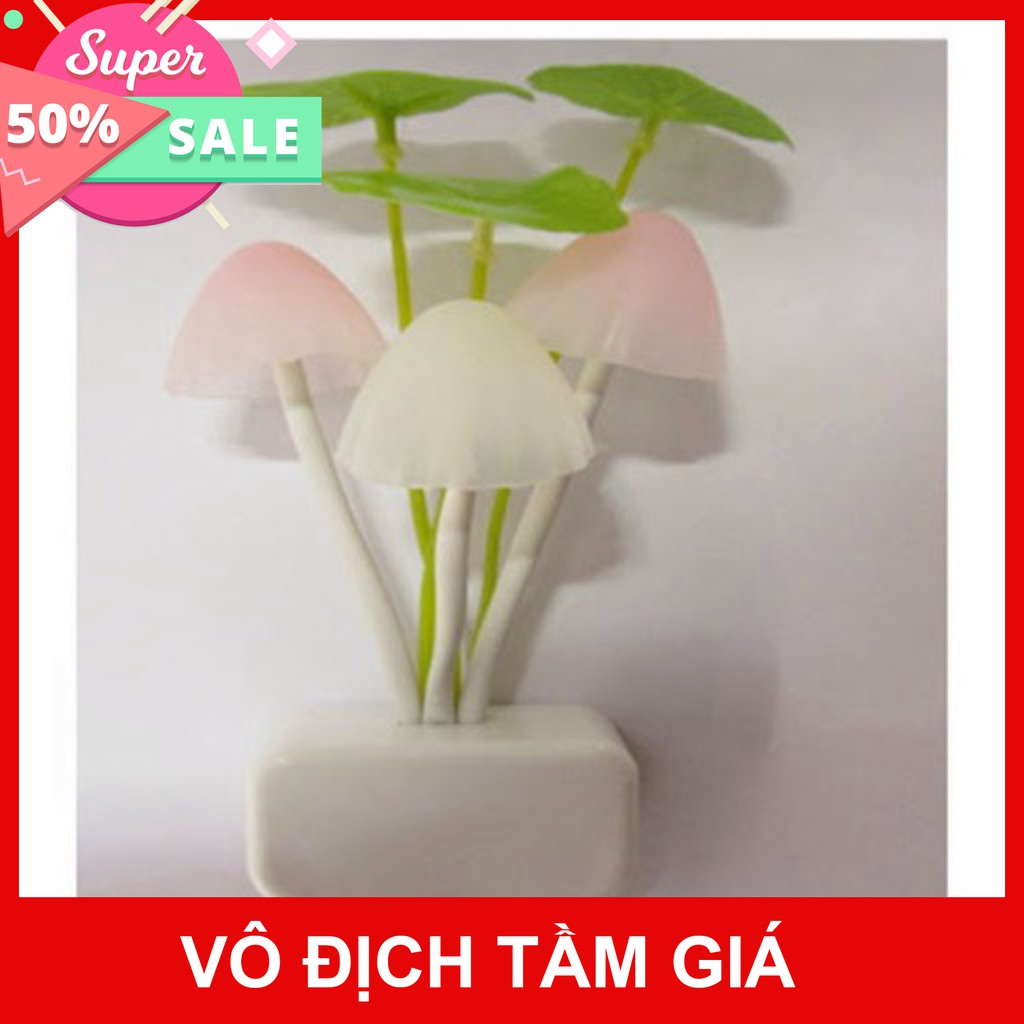 ĐÈN NGỦ CẢM ỨNG NGÀY TẮT TỐI BÂT HÌNH NẤM  giảm giá 50% mua ngay nhanh tay